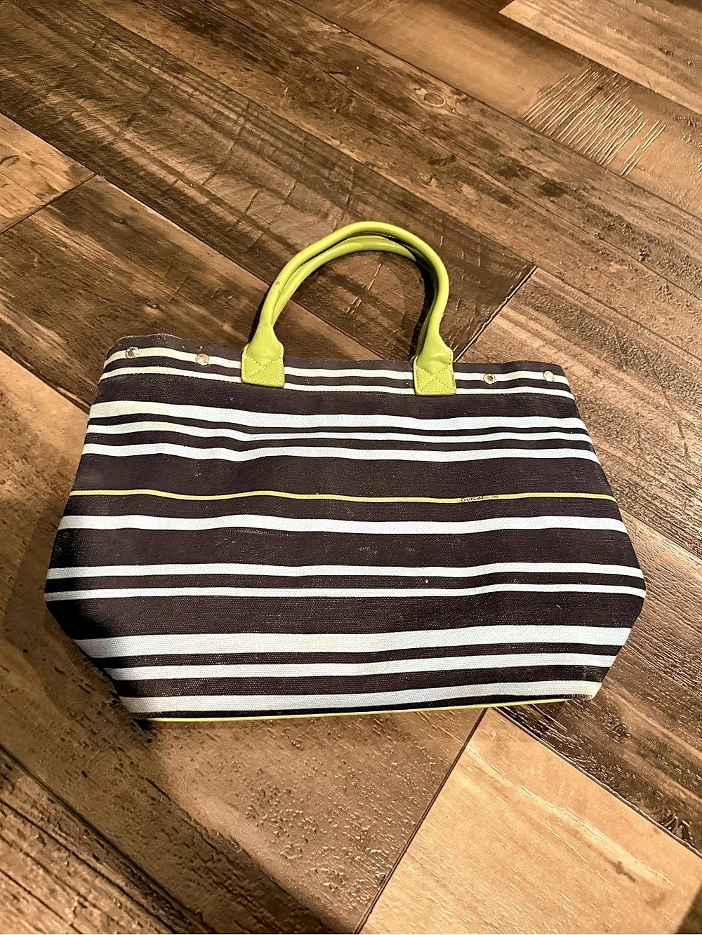 Liz Claiborne Striped Tote in Black & Green